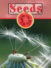 Capa do artigo Seeds
