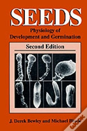 Capa do artigo Seeds
