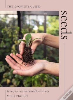 Capa do artigo Seeds
