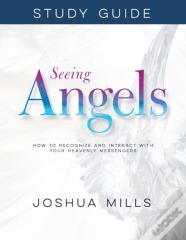 Seeing Angels Study Guide