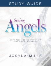 Capa do artigo Seeing Angels Study Guide