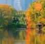 Seeing Central Park - Preview