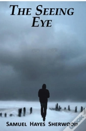 Capa do artigo Seeing Eye