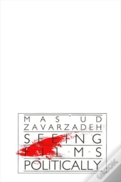 Seeing Films Politically