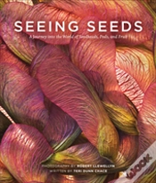 Capa do artigo Seeing Seeds