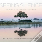 Capa do artigo Seeing Silence