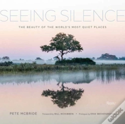 Capa do artigo Seeing Silence