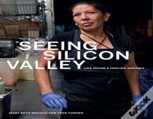 Seeing Silicon Valley