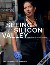 Capa do artigo Seeing Silicon Valley