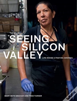 Capa do artigo Seeing Silicon Valley