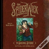 Seeing Stone