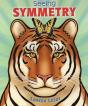 Seeing Symmetry - Preview