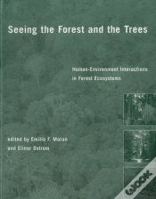 Capa do artigo Seeing The Forest And The Trees
