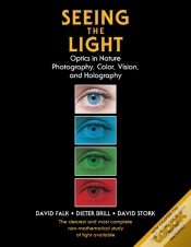 Capa do artigo Seeing The Light