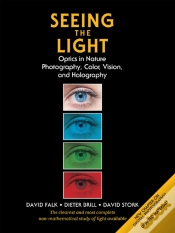 Capa do artigo Seeing The Light