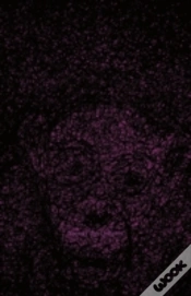 Capa do artigo Seeing The Unseen