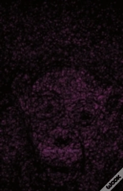 Capa do artigo Seeing The Unseen