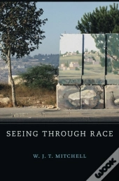 Seeing Through Race