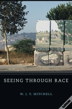 Capa do artigo Seeing Through Race
