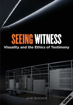 Capa do artigo Seeing Witness