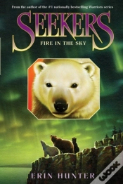 Capa do artigo Seekers #5: Fire In The Sky