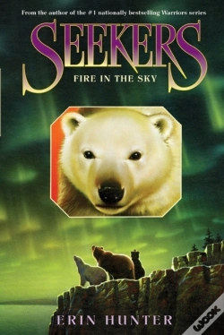 Capa do artigo Seekers #5: Fire In The Sky