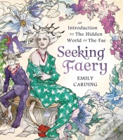 Capa do artigo Seeking Faery