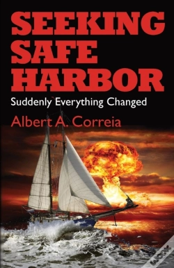 Capa do artigo Seeking Safe Harbor