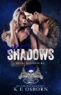 Seeking Shadows - Preview