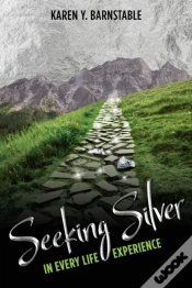 Capa do artigo Seeking Silver