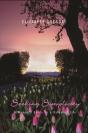 Seeking Simplicity - Preview