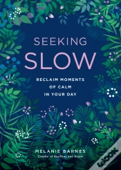 Capa do artigo Seeking Slow