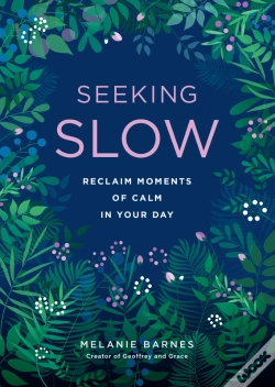Capa do artigo Seeking Slow
