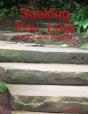 Seeking You, Lord - Preview