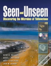 Seen And Unseen