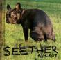 Seether: 2002-2013 - CD - Preview