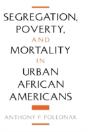 Segregation, Poverty, And Morality In Urban African Americans - Preview