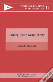 Capa do artigo Seiberg Witten Gauge Theory