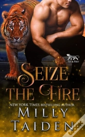 Capa do artigo Seize The Fire