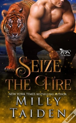 Capa do artigo Seize The Fire