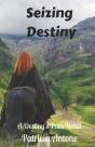Seizing Destiny - Preview