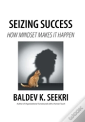 Capa do artigo Seizing Success