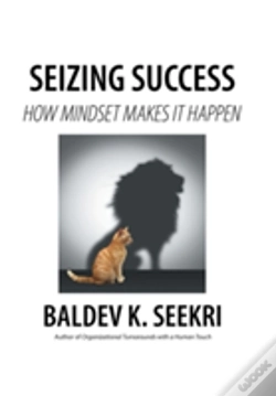 Capa do artigo Seizing Success