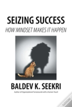 Capa do artigo Seizing Success