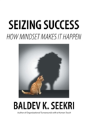 Seizing Success - Preview