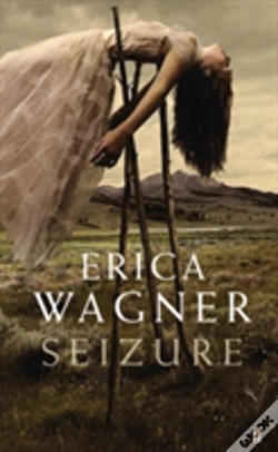 Capa do artigo Seizure