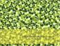 Selección Natural. Natural Selection - Preview