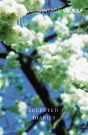 Selected Diaries - Preview