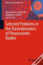 Selected Problems In The Elastodynamics Of Piezoceramic Bodies