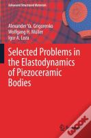 Selected Problems In The Elastodynamics Of Piezoceramic Bodies